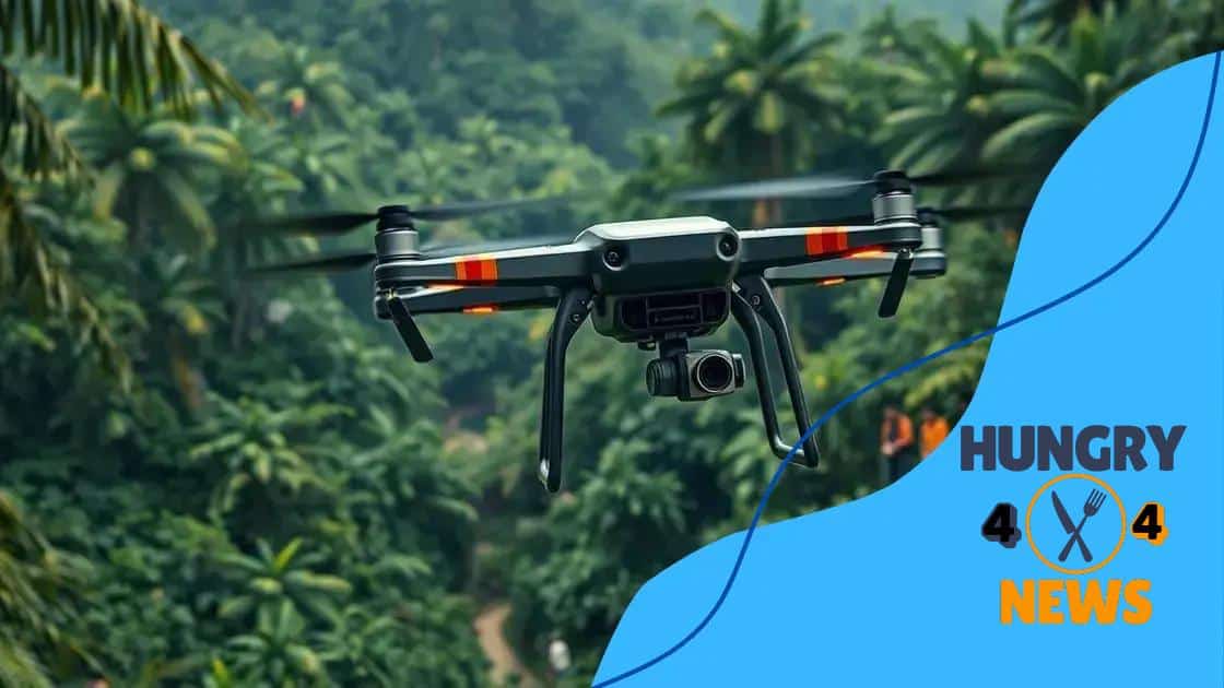 Case studies: Successful drone initiatives